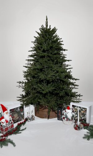 Искусственная ёлка ЛЕСНАЯ PREMIUM литая 150-210 см