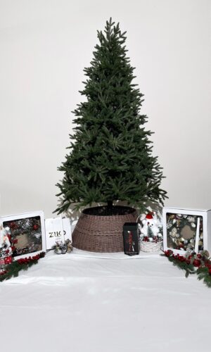 Искусственная ёлка "Серена" литая 90-210 см