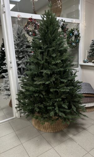 Искусственная ёлка Парма литая 150-350 см